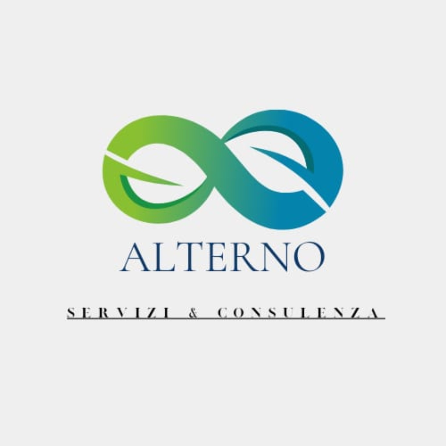 Logo Alterno Servizi
